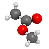 Methyl acetate solvent molecule