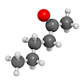 Methyl butyl ketone molecule
