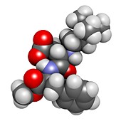 Neotame sugar substitute molecule