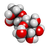 Trehalose sugar molecule