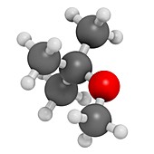 Methyl tert-butyl ether molecule