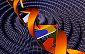 Computer artwork of DNA over wire-frame ripples
