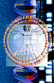 Computer artwork of DNA molecule and man