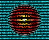 Artwork of a DNA sequence around a sphere