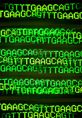 Multiple exposure image of DNA base sequences