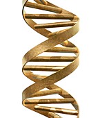 DNA helix