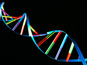 DNA