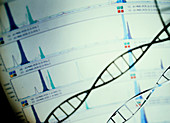 DNA and a genetic sequence