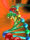 DNA molecule,artwork