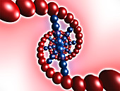 DNA molecule,computer artwork