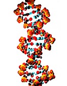 DNA molecule,computer artwork