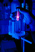 Test-tube of DNA marked with a fluorescent dye