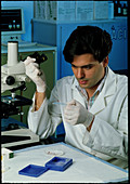 Researcher preparing a genetic probe