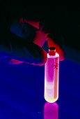 AIDS gene therapy research: test-tube in UV light