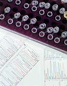 DNA sequence charts used to study colour blindness