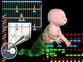 Computer artwork depicting baby's paternity test
