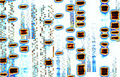 Artwork of an autoradiogram showing DNA sequences