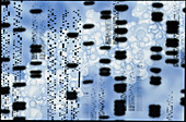 Artwork of DNA sequences and a DNA molecule