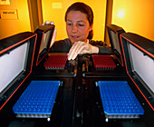 Researcher loading sequencer with human DNA