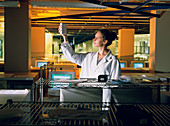 Technician with DNA sequencers at Celera Genomics