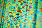 DNA autoradiogram