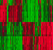 Stem cell gene expression