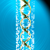 DNA and autoradiogram
