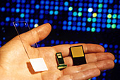 DNA glass microarray and DNA microchips