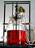 Fermentation unit used in biotechnology