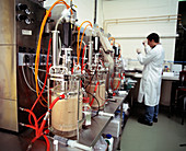 E. coli fermentation units