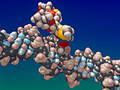 Cleavage of DNA by designed enediyne: 2nd of 4
