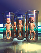 Cloning babies