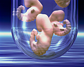 Cloned embryos
