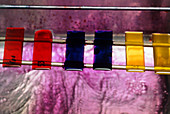 Dyes for biological staining during microscopy