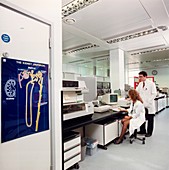 Scientists at work in a microbiology laboratory