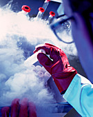 Researcher removing sample tube from cryo