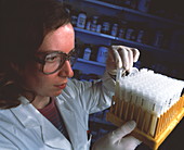 Researcher with milk samples