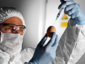 Avian influenza research