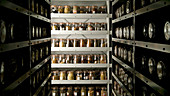 Seed bank cold storage vault
