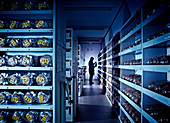 Seed bank cold storage vault