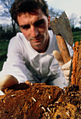 Researcher studying termites in a cherry tree