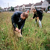 Volunteers collecting wildflower seeds
