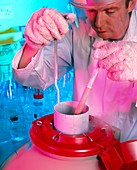 Technician taking cells from liquid nitrogen store