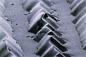 SEM of grooves in stereo LP record