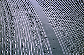 SEM of grooves in LP record