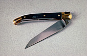 Close-up of a penknife