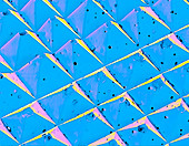 Coloured SEM of the surface of advanced sandpaper