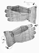 Gloves,X-ray