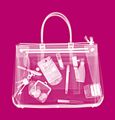 Handbag,coloured X-ray