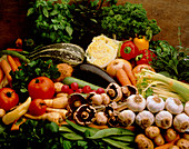 Selection of vegetables and herbs